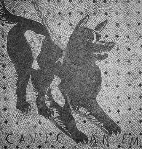 tattoo of an ancient Roman #seahorse #mosaic. Black & white, half horse,  half dolphin design. I first saw this mosaic 1… | Roman tattoo, Roman bath  house, Tattoos